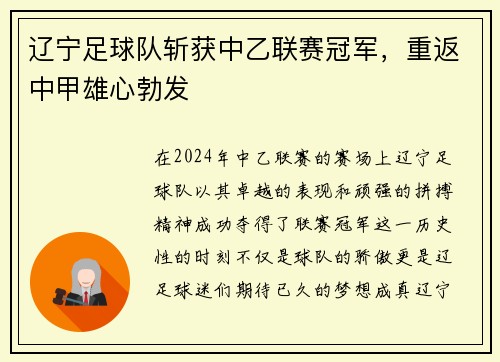 辽宁足球队斩获中乙联赛冠军，重返中甲雄心勃发